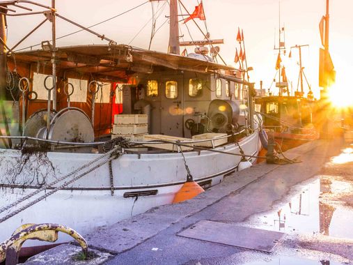 Fischereihafen bei Sonnenuntergang 